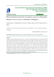 Yogini + shaman + cleanse queen. Pdf Phytoremediation Potential Of Mangrove Species At Pangasihan Mangrove Forest Reserve In Mindanao Philippines
