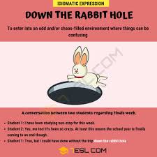 Not all rabbit holes are worth going down. Down The Rabbit Hole Meaning With Helpful Examples 7esl