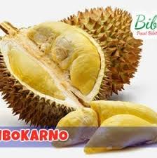 Yaaa, namanya gratisan, kalap banget, dy. Asli 100 Bibit Durian Super Tembaga Bibit Buahku