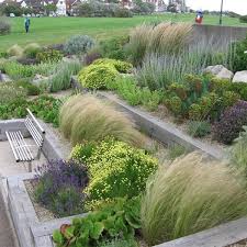 Society Of Garden Designers Paul Baines Msgd Terrasse Bois Piscine Idees Jardin Terrasse Bois