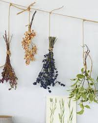 Let the sunflower head continue drying in a warm location. How To Dry Flowers House Garden