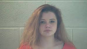 4 arrested in Science Hill raid