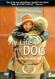 My Life As a Dog (DVD, 1985) Lasse Hallstrom Film LN 720917505121| eBay