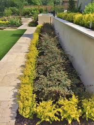 We did not find results for: Ligustrum Houzz