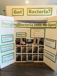 Biology Science Fair Projects For 7th Grade Got Bacteria Science Fair Project Kindergarten Science Fair Projects Kids Science Fair Projects Science Fair Projects