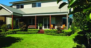 Sir Walter Premium Lawn Turf Soft Leaf Buffalo From Daleys Turf Sunshine Coast Daleys Turf