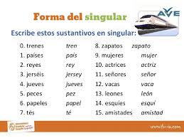 Por ello, cualquier sustantivo puede ser funcional cuando se emplea en un. Ejemplos De Palabras En Singular Y Plural Compartir Ejemplos