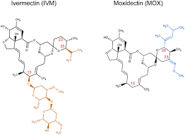 Press conference on ivermectin (dec 4, 2020). First Assessment Of The Comparative Toxicity Of Ivermectin And Moxidectin In Adult Dung Beetles Sub Lethal Symptoms And Pre Lethal Consequences Scientific Reports