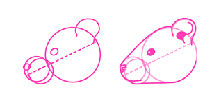 How To Draw Animals: Small Rodents And Their Anatomy