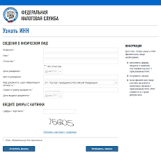 Kak Uznat Inn Svoj Inn Inn Fiz Lica Po Pasportu I Fio Po Inn