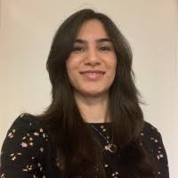 Derek Fong Email & Phone Number