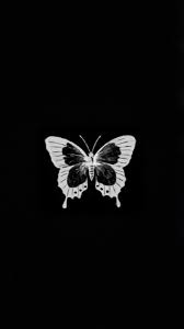 We at our hdwallpaper.wiki here to help you with the multi collections of wallpapers and backgrounds free of cost. Aesthetic Black Wallpaper Butterfly Novocom Top