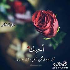 رسائل العيد 2018 مضحكة وللحبيب مسجات 3dlat Net 11 17 A198 Love Words English Love Quotes Romantic Quotes