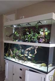 Pin By Korriena Van Den Hoonaard On Palyudarium Vivarium Terrarium Fresh Water Fish Tank Turtle Aquarium Tropical Fish Aquarium
