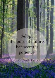 Adopt The Pace Of Nature Her Secret Is Patience Ralph Waldo Emerson Be Patience Nature Life Quotes