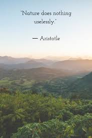 Nature Does Nothing Uselessly Aristotle Wildlife Quotes Environment Quotes Aristotle Quotes