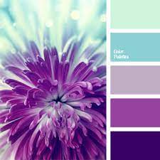 Royal blue and purple when it comes to colors to match with royal blue, purple is a great choice. Blue And Purple Color Palette Ideas