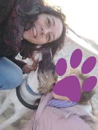 Monthly (5 or 10 day)card/packages and overnight stays: Liguria Doggy Daycare Prices Reviews Petbacker