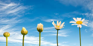 We did not find results for: Faire Un Bilan De Competences En 2021 Suivez Le Guide Cadremploi