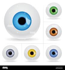Image result for eye balls