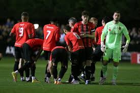 Bracknell Town 0-3 Ipswich Town: Valiant Robins broken down by second-half  flurry as Tractor Boys avoid FA Cup shock