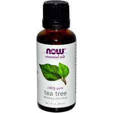 Natural Diy Keep Away Flies Spray Dogs And Horses Tea Tree Oil For Acne Tea Tree Oil Face Tea Tree Oil