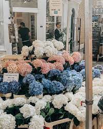 Nothing Like Walking The Columbia Road Flower Market Columbia Road Flower Market Pretty Flowers Flower Market