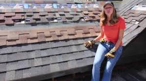 The founding father of wood shake replicas, presidential shake established it all. Certainteed Presidential Shake Tl Shingle Review Youtube