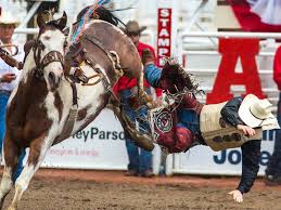 Everything You Need To Know About The Calgary Stampede | Tourism Calgary