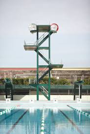 Designer Curator Brother Diving Board Pool Accessories Cool Pools