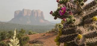 But i have to say april through june is some of. Sedona Spotlight Shermanstravel
