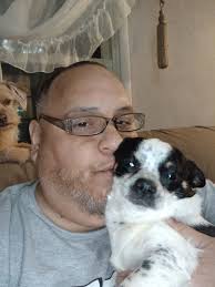 Adorable Chihuahua photo sharing