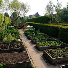 Monty Don On Instagram Veg In 2020 Backyard Landscaping Garden Inspiration Monty Don