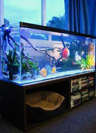 great 15 stunning aquarium design ideas for indoor decorations https homegardenmagz com 15 stunning aqua aquarium design amazing aquariums aquarium fish tank