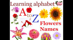 All flowers name with picture in english. Learn Abc English All Different Flowers Names For Kids Children With Pictures Words A To Z Spelling Youtube