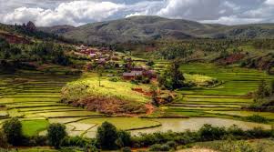 Ancient Crops Reveal Asian Colonization Of Madagascar Madagascar Travel Africa Travel Village Photography