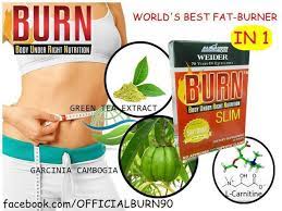 Network Marketing Business Weight Program Weight Program Network Marketing Business Cancer Prevention