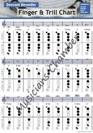 Details About Descant And Tenor Recorder Fingering Chart New Finger Guide