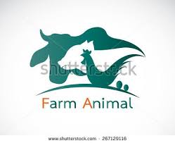 Vector Group Of Animal Farm Label Cow Pig Chicken Egg Farm Logo Farm Animals Animal Groups
