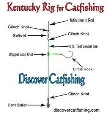 Catfish Rigs How To Tie A Catfish Rig Catfish Rigs Fishing Tips Catfish