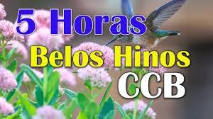 Stream tracks and playlists from ccb hinos cantados on your desktop or mobile device. 5 Horas De Belos Hinos Ccb Hinario 5 Cantados Os Mais Lindos Hinos Avulsos Ccb Hinos Ccb Youtube