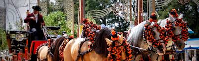 Your browser does not support the video tag. Camping Parentis Feria Book Now