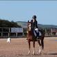 Nina Boex Dressage Clinic event image