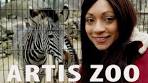 Artis Zoo Amsterdam - YouTube