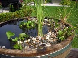 Bildergebnis Fur Miniteiche Garten Zinkwanne Miniteich Miniteich Anlegen Gartenteich Selber Bauen