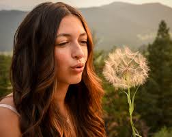 Profile for Teri Farley Photography