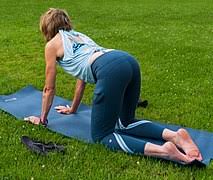 A traditional cat/cow starts with curling the chin towards the chest while the. Bidalasana Und Bitilasana Wikipedia