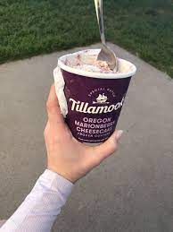 Tillamook Frozen Custard Tillamook Frozenyogurt Icecream Indulge Frozen Custard Frozen Yogurt Marionberry