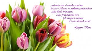 Mesaj de 8 martie 2021 1. Mesaje De 8 Martie 2018 Cele Mai Frumoase UrÄri Si FelicitÄri Pentru Doamnele Din ViaÅ£a NoastrÄ De Ziua InternaÅ£ionalÄ A Femeii