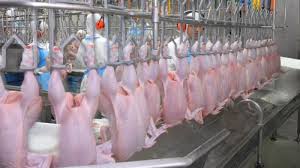 Pabrik menghentikan operasi sementara untuk alasan keamanan dan keselamatan. Inves 100 Juta Dolar As Triputra Group Dirikan Pabrik Nugget Dan Sosis Ayam Di Subang Tribunnews Com Mobile